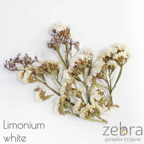 Набор сухоцветов для заливки в смолу Limonium White