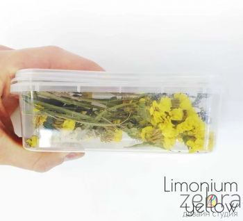 Набор сухоцветов для заливки в смолу Limonium Yellow