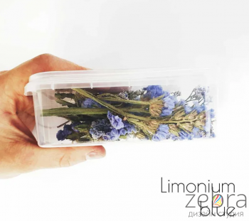 Набор сухоцветов для заливки в смолу Limonium Blue